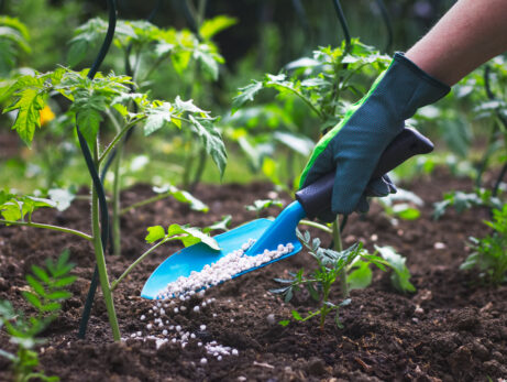What Are the Benefits of Using Organic Fertilizer?