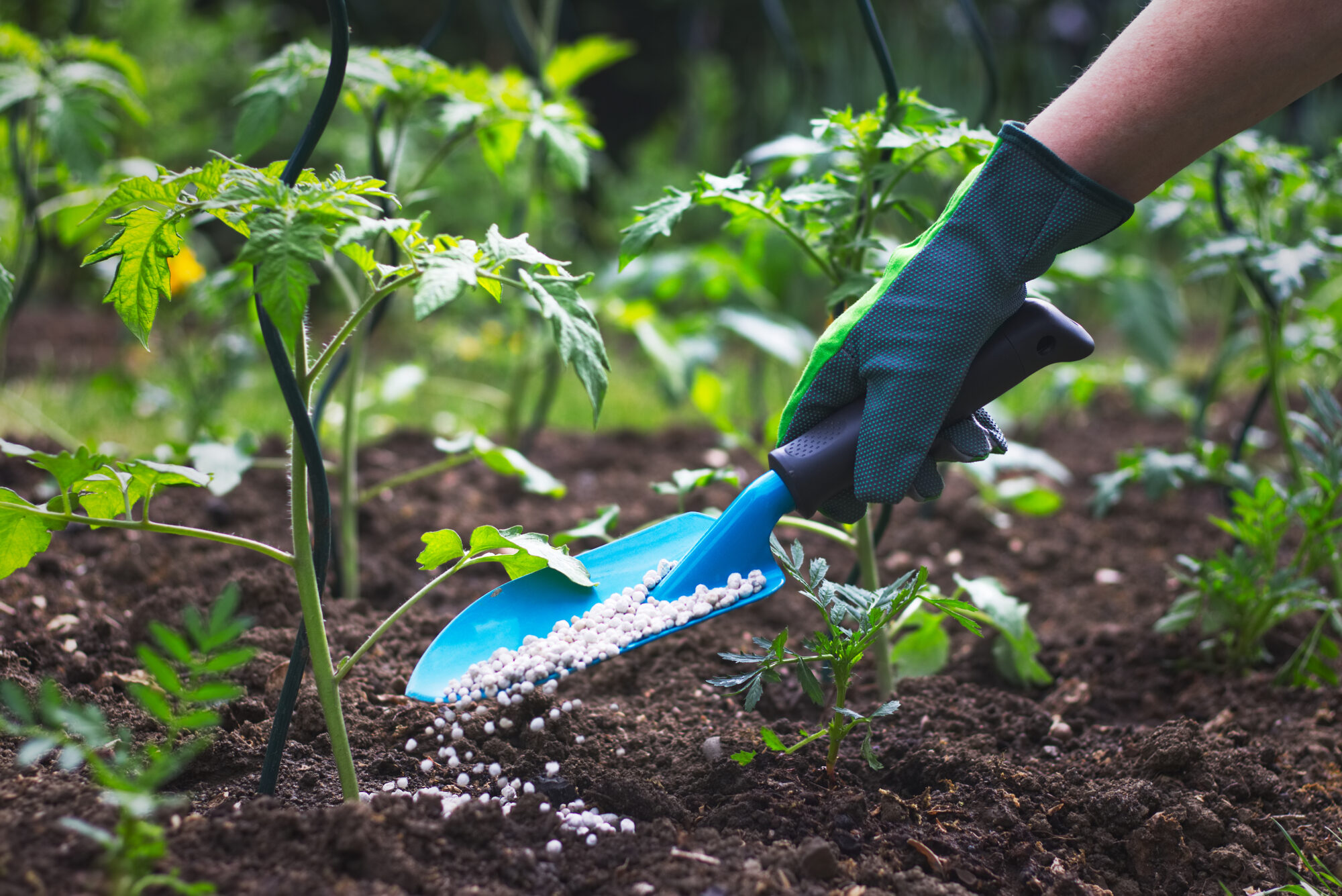 What Are the Benefits of Using Organic Fertilizer?