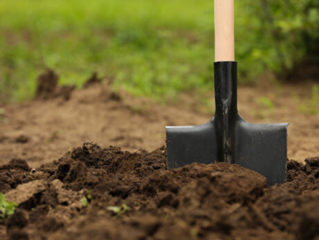 How Can I Control Soil Erosion Around My Home?