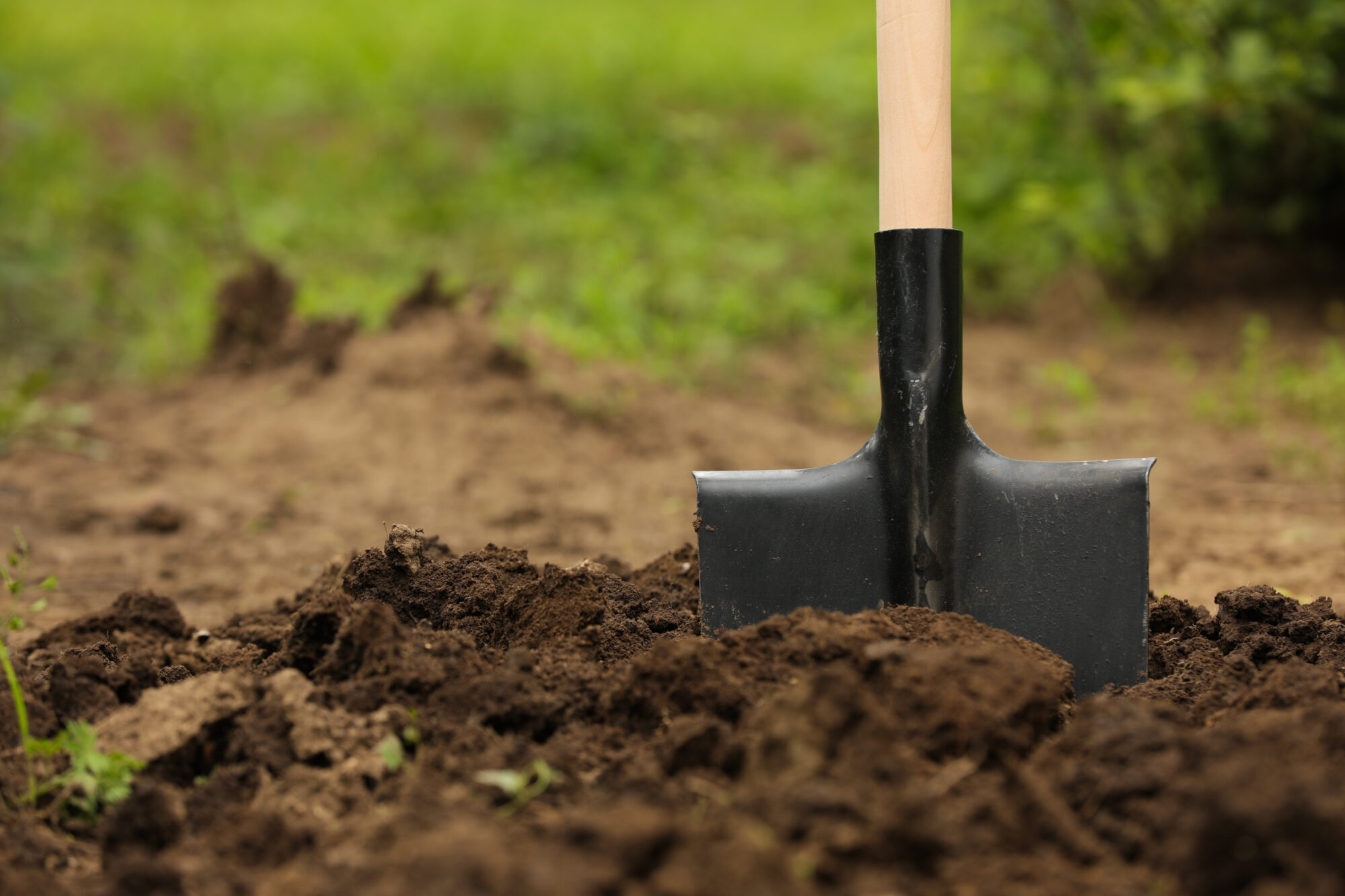 How Can I Control Soil Erosion Around My Home?