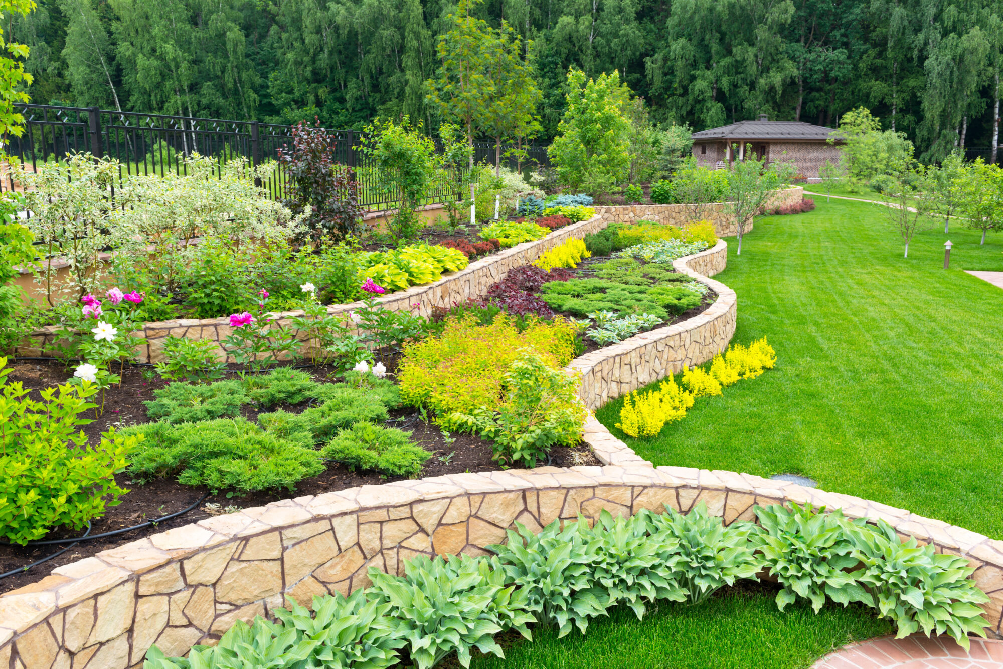 Our Landscaping Services
