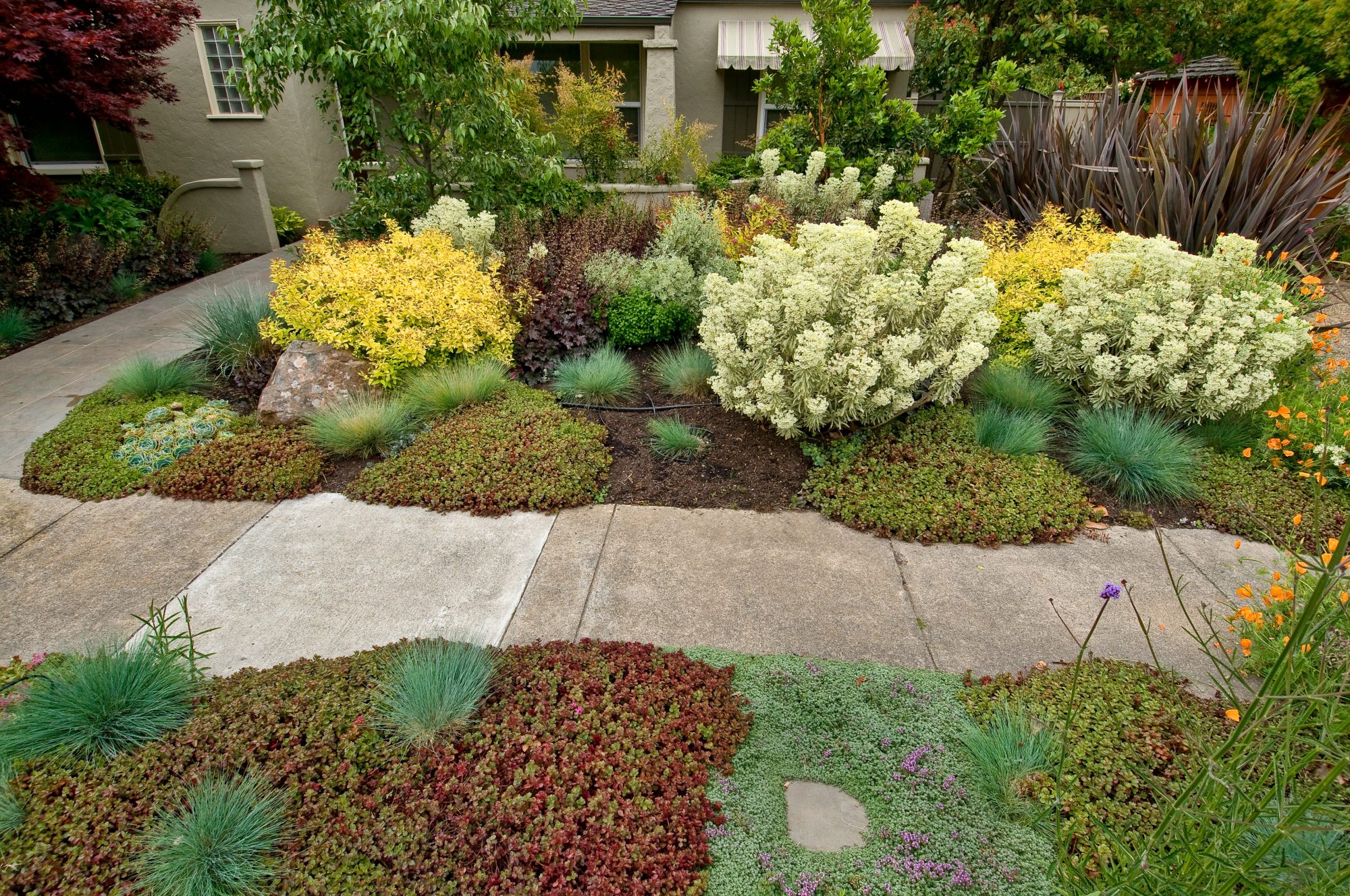 How Do I Design a Low-Maintenance Landscape?