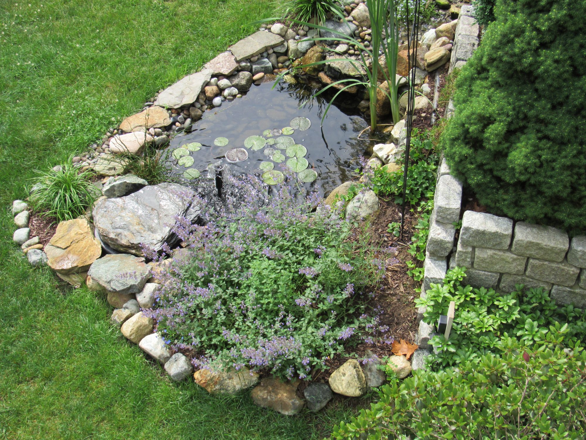 What Are the Advantages of Adding Water Features to My Landscape?