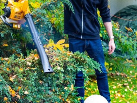 What Are the Best Lawn Care Practices to Prepare for Fall?