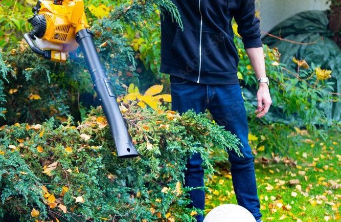 What Are the Best Lawn Care Practices to Prepare for Fall?