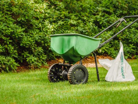 Is It Too Late to Fertilize Your Lawn in October?
