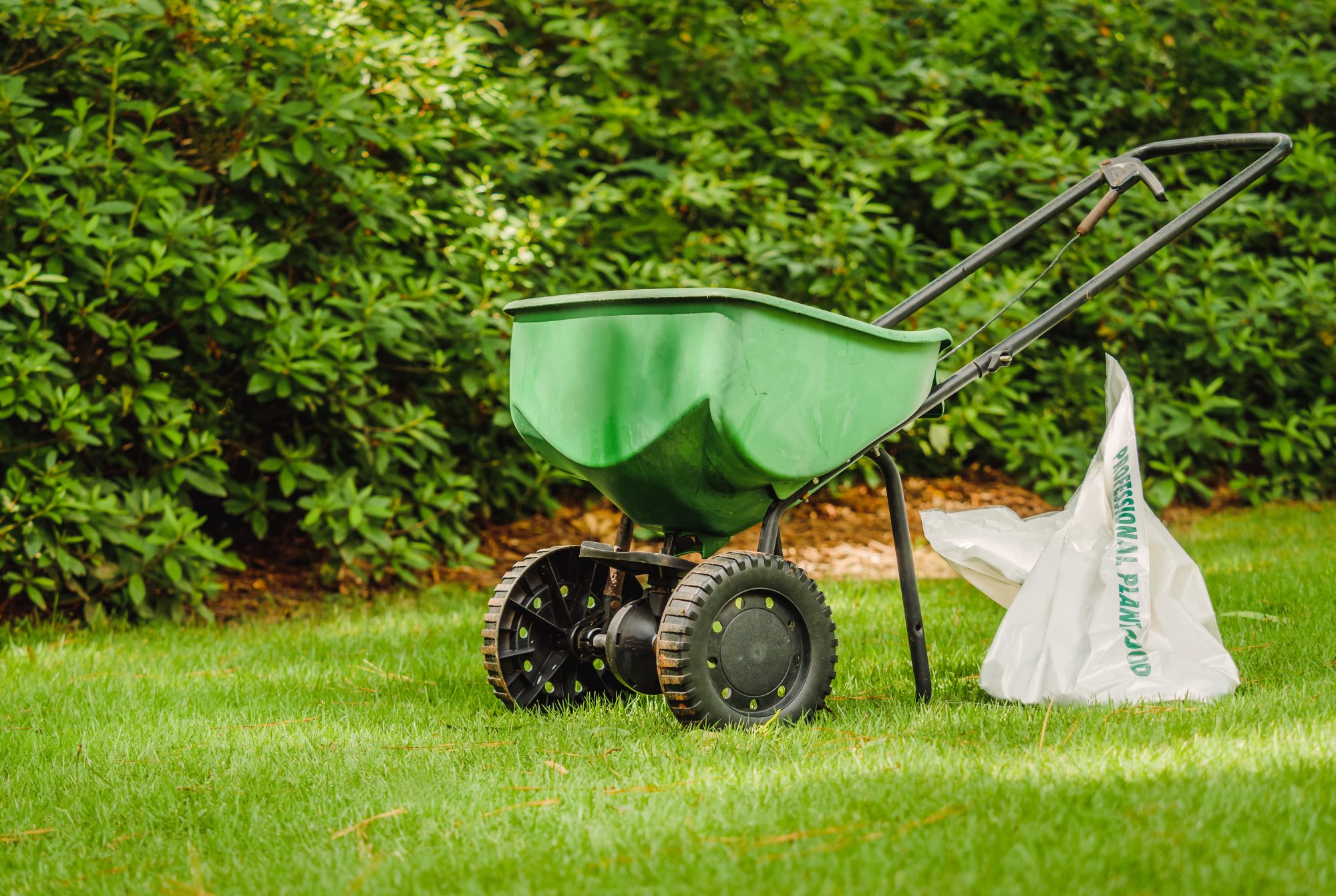 Is It Too Late to Fertilize Your Lawn in October?