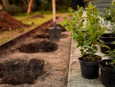 5 Common Landscaping Mistakes Indiana Homeowners Make