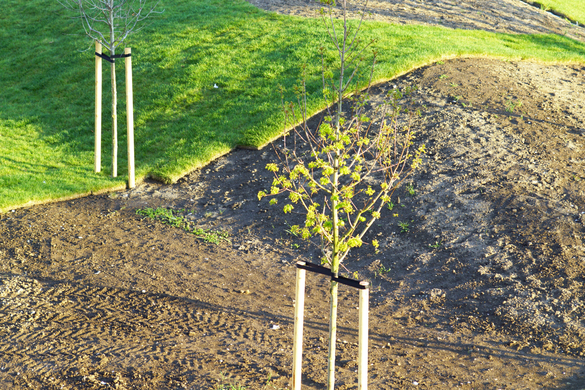 What Are the Hidden Costs of Neglecting Erosion Control in New Developments?